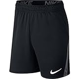 Nike Herren Dry 5.0 Shorts, Black/Iron Grey/White, M