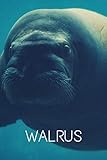 Walrus (walrus theme): lined notebook with 120 pages - journal for travel, work or school - take it anywhere (6'' x 9'')
