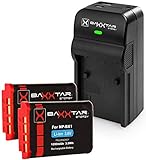 Baxxtar Set (2X) Akku NP-BX1 (1090mAh) - mit Razer 600 Ladegerät 5in1 - mit USB-Ausgang für USB-Drittgeräte