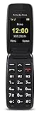 Primo 401 by Doro - GSM Mobiltelefon mit großem beleuchtetem Farbdisplay - schwarz