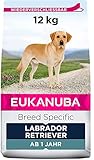 Eukanuba Breed Specific Labrador Retriever Trockenfutter - optimal auf die Rasse abgestimmtes Premium Hundefutter mit Huhn, 12 kg
