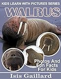 Walrus: Photos and Fun Facts for Kids (Kids Learn With Pictures Book 93) (English Edition)