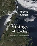 Vikings of To-Day: Or Life and Medical Work Among the Fishermen of Labrador (Adventures in New Lands, Band 3)
